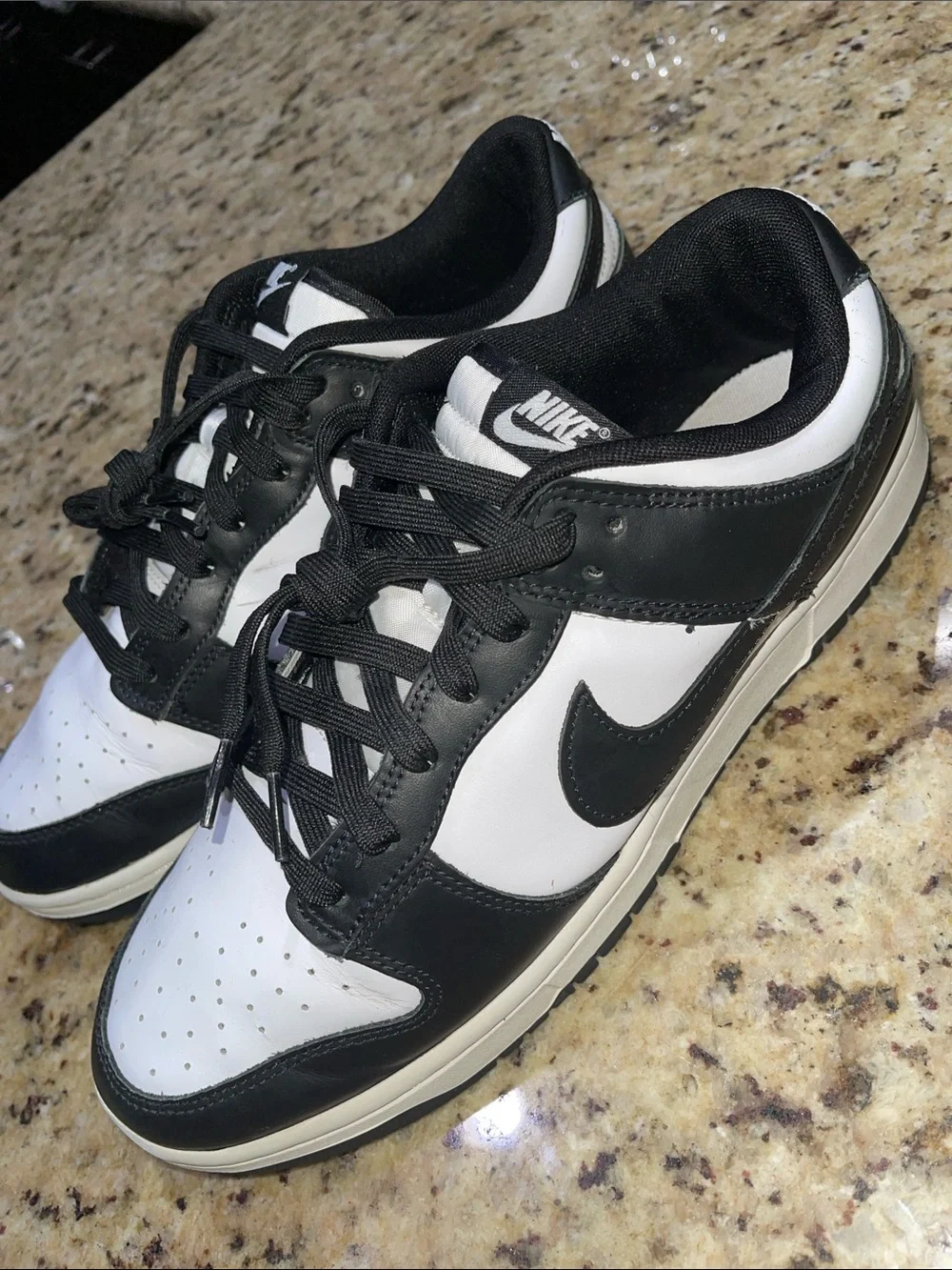 Nike Dunk Men’s Black/White Low-Top Sneakers